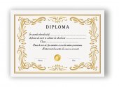  Diploma Scolara Model 13