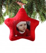 Glob Brad de Craciun pentru Poza 