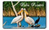 Magnet frigider turistic Delta Dunarii