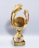 Trofeu stele – Personalizat la comandă